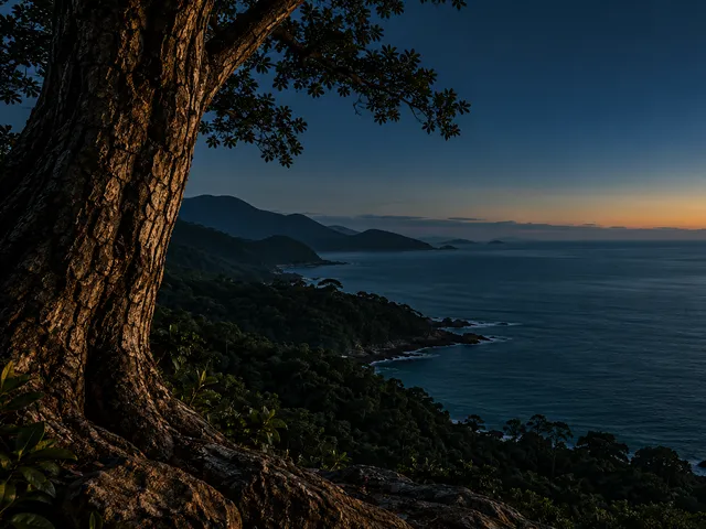 Imagem Puressência: tronco de árvore sobre mata costeira e mar ao entardecer