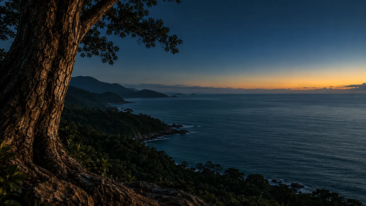 Imagem Puressência: tronco de árvore sobre mata costeira e mar ao entardecer