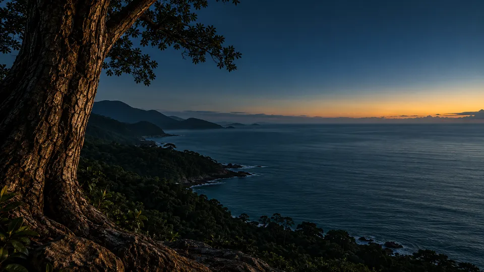 Tronco de árvore sobre mata costeira e mar ao entardecer